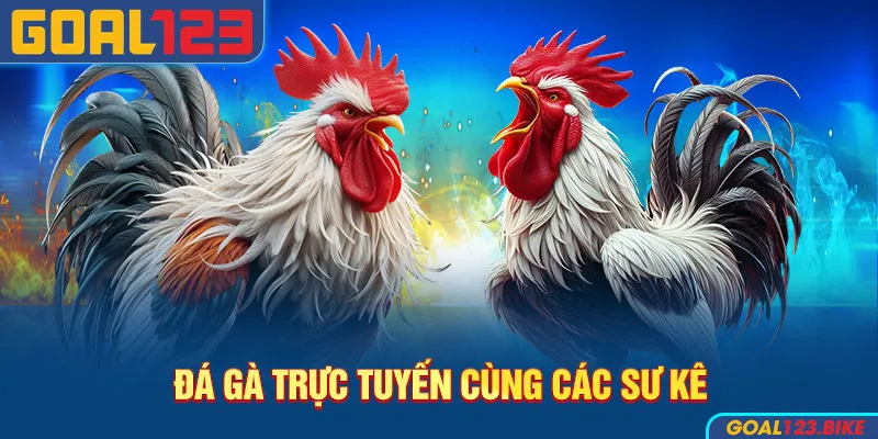 Đá Gà Goal123 1 Đá gà Goal123