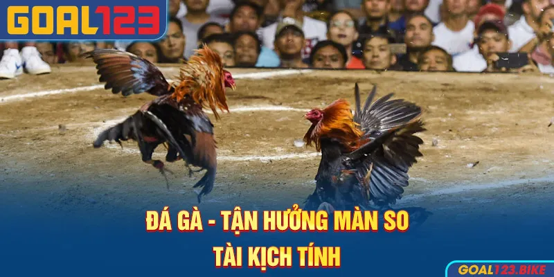 Tận hưởng màn so tài kịch tích